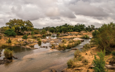 The Central Suriname Nature Reserve: unparalleled natural beauty