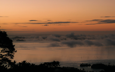Lake Brokopondo: From Reservoir to Tourist Attraction
