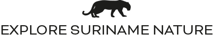 Explore Suriname Nature