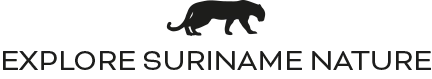 Explore Suriname Nature