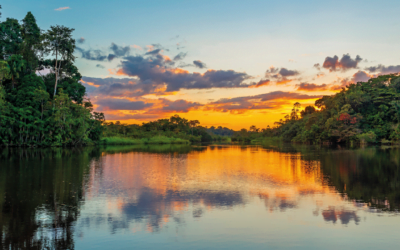 An adventure at the waterfalls of Suriname